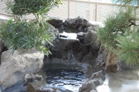 錦鯉　和風池,庭池　施工,和風鑑賞池　滝