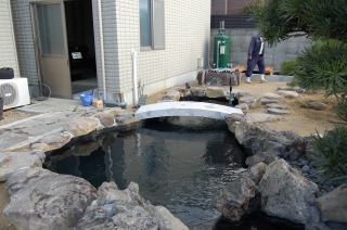 錦鯉 和風池,庭池 施工,和風鑑賞池 錦鯉