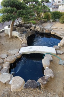 錦鯉　和風池,庭池　施工,和風鑑賞池　錦鯉