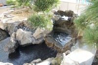 錦鯉 和風池,庭池 施工,和風鑑賞池 滝