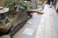 池 リフォーム,池 改修,庭池 業者