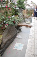 池 リフォーム,池 改修,庭池 業者