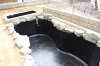 錦鯉 洋風池,錦鯉 和風池,コンクリート池 池用塗料