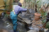 庭池 防水工事,庭池 FRP防水,池 高圧水洗い