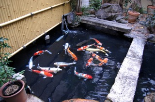 庭池 防水工事,庭池 FRP防水,池 水漏れ修理