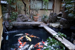 庭池 防水工事,庭池 FRP防水,池 水漏れ修理