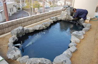 錦鯉 造園,スーパーマリン 濾過,庭池 業者,錦鯉池 施工