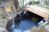 庭池 防水工事,庭池 FRP防水,池 水漏れ修理