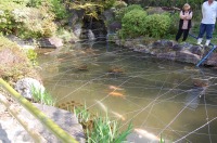 庭池 防水工事,庭池 FRP防水,池 水漏れ修理