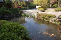 庭池 防水工事,庭池 FRP防水,池 水漏れ修理