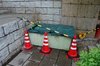 錦鯉 ストック水槽