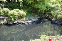 庭池 防水工事,庭池 FRP防水,池 水漏れ修理