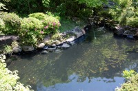 庭池 防水工事,庭池 FRP防水,池 水漏れ修理