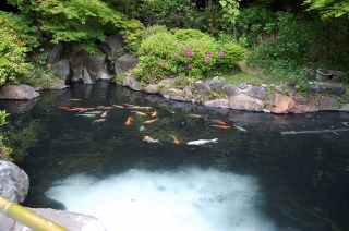 庭池 防水工事,庭池 FRP防水,池 水漏れ修理