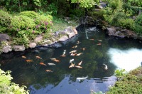 庭池 防水工事,庭池 FRP防水,池 水漏れ修理