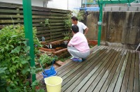 コンクリート池 錦鯉,池作り 業者,錦鯉池 作り