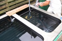 庭池 CAD,庭池 図面,錦鯉池 沈殿槽