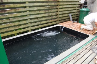 コンクリート池 錦鯉,池作り 業者,錦鯉池 作り