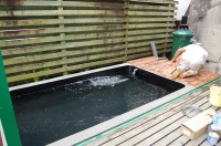 庭池 CAD,庭池 図面,錦鯉池 アクアジェット