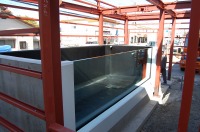 コンクリート水槽 アロワナ,コンクリート水槽 窓付