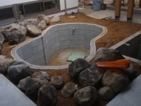 錦鯉 造園,庭池 錦鯉,造園 池,錦鯉池 石組み