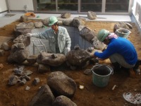 錦鯉 造園,庭池 錦鯉,造園 池,錦鯉池 石組み