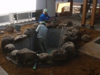 錦鯉 造園,庭池 錦鯉,造園 池,錦鯉池 石組み