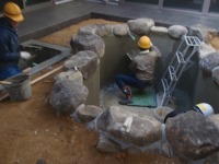 錦鯉 造園,庭池 錦鯉,造園 池,錦鯉池 左官