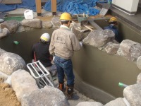 錦鯉 造園,庭池 錦鯉,造園 池,錦鯉池 モルタル塗り