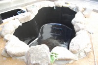 錦鯉 造園,庭池 錦鯉,造園 池,錦鯉池 集水ピット