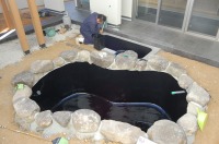 錦鯉 造園,庭池 錦鯉,造園 池,錦鯉池 池用塗料塗り