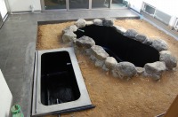 錦鯉 造園,庭池 錦鯉,造園 池,錦鯉池 池用塗料塗り