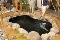 錦鯉 造園,庭池 錦鯉,造園 池,錦鯉池 アクアジェット