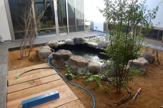 錦鯉 造園,庭池 錦鯉,造園 池,錦鯉池 施工