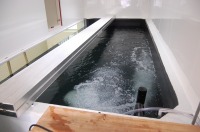 コンクリート水槽 アロワナ,コンクリート水槽 アクアジェット