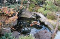 庭池 防水工事,庭池 FRP防水,池 水漏れ修理