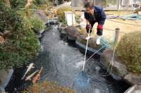 庭池 防水工事,庭池 FRP防水,池 水漏れ修理