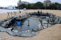 錦鯉 和風池,業者 和風鑑賞池,庭池 業者,,