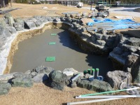 錦鯉 和風池,業者 和風鑑賞池,庭池 コンクリート