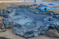 錦鯉 和風池,業者 和風鑑賞池,庭池 ブロック積み