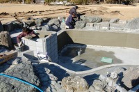 錦鯉 和風池,業者 和風鑑賞池,庭池 左官