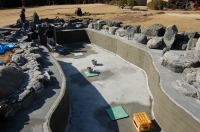 錦鯉 和風池,業者 和風鑑賞池,庭池 左官