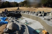 錦鯉 和風池,業者 和風鑑賞池,庭池 左官