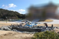 錦鯉 和風池,業者 和風鑑賞池,庭池 左官