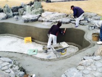 錦鯉 和風池,業者 和風鑑賞池,庭池 左官