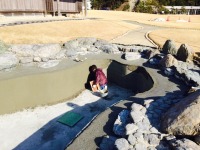 錦鯉 和風池,業者 和風鑑賞池,庭池 左官