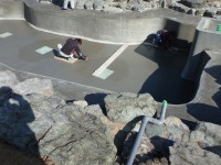 錦鯉 和風池,業者 和風鑑賞池,庭池 左官