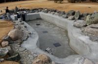 錦鯉 和風池,業者 和風鑑賞池,庭池 左官