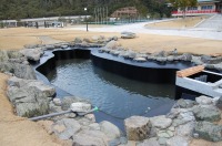 錦鯉 和風池,業者 和風鑑賞池,庭池 FRP防水