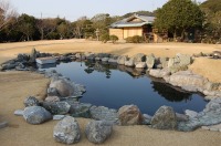 錦鯉 和風池,業者 和風鑑賞池,庭池 業者,,